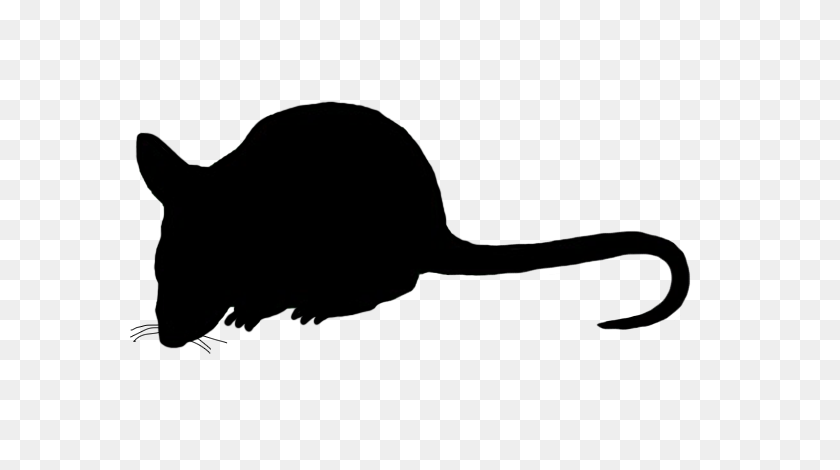 Mouse Clipart Halloween Cat Clipart Black And White Stunning Free Transparent Png Clipart Images Free Download