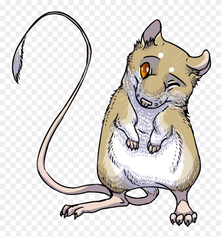 1024x1108 Mouse Clipart Kangaroo Rat - Lemur Clipart