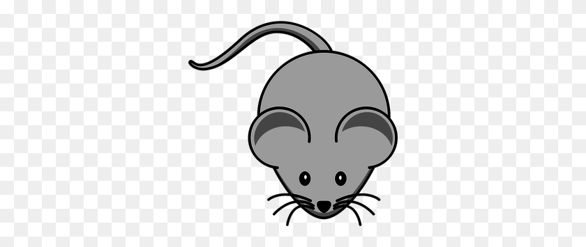 300x295 Mouse Free Clipart - Rat Clipart Black And White
