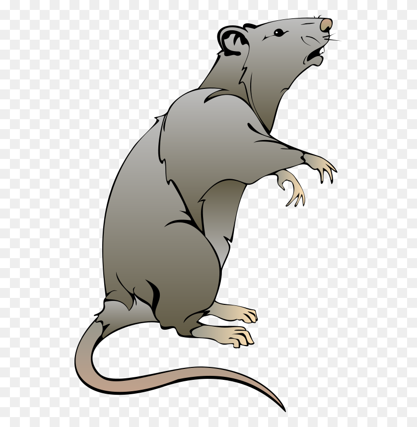539x800 Mouse Free Vector - Mouse Trap Clipart