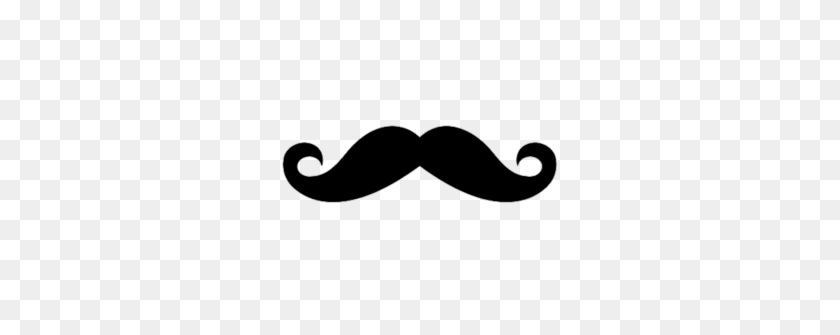 277x275 Moustache - Hitler Mustache PNG