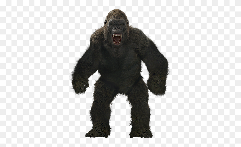 355x452 Mq Mono Gorila Kingkong Angry Anmails Wild - King Kong Png