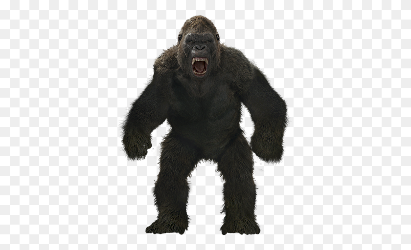 355x452 Mq Monkey Gorilla Kingkong Angry Anmails Wild - King Kong PNG