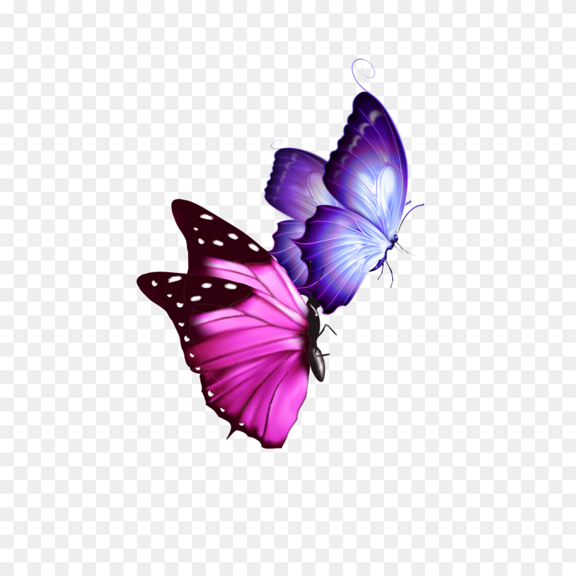 2289x2289 Mq Розовые Фиолетовые Бабочки Бабочки - Фиолетовая Бабочка Png