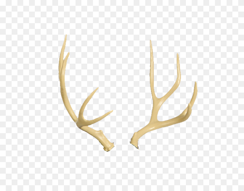 600x600 Mule Deer Antlers - Antler PNG
