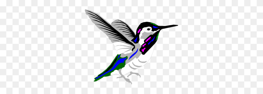 298x240 Multicolored Hummingbird Png, Clip Art For Web - Hummingbird Clipart Black And White