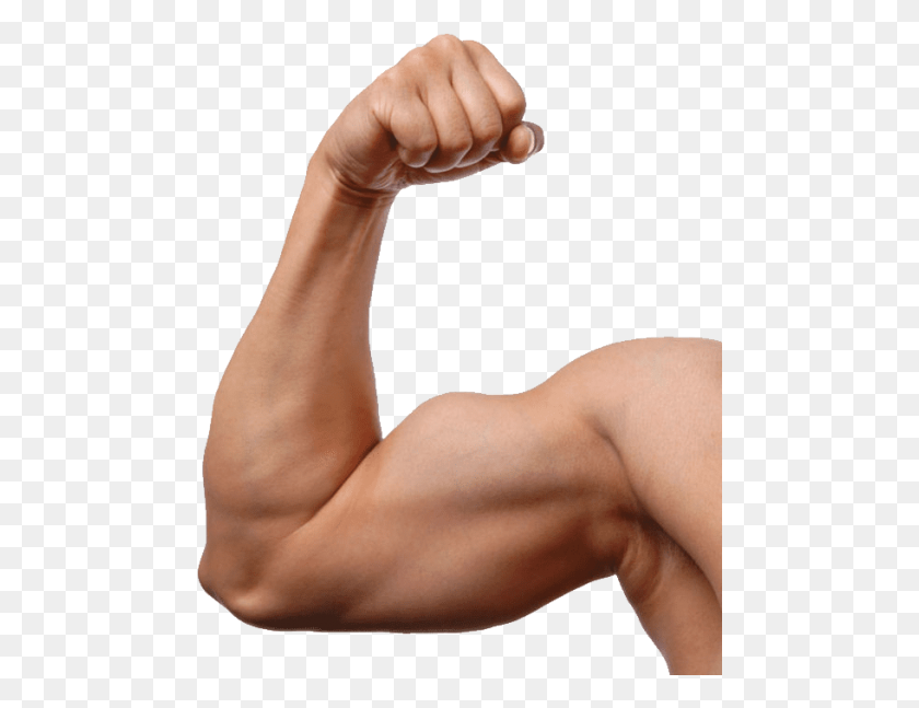 480x587 Muscle Png - Muscle Arm PNG