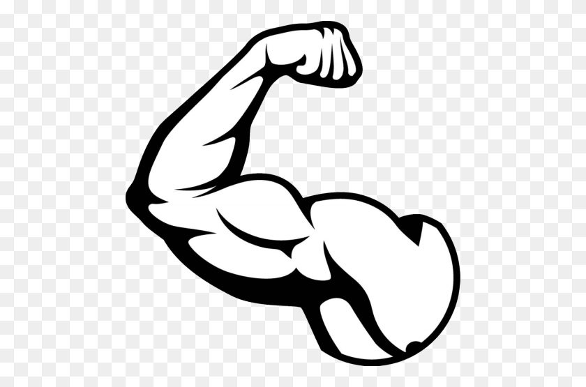 480x495 Muscle Png - Muscle PNG