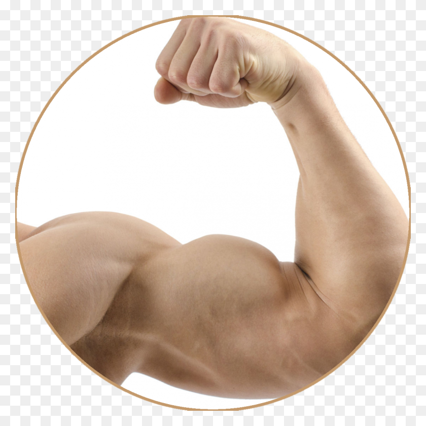 1138x1138 Muscle Png Image - Muscle Arm PNG
