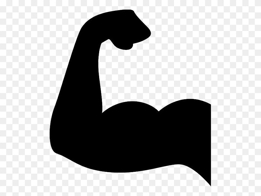 521x572 Muscle Png Image - Muscle Clipart