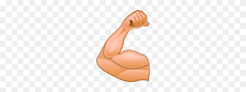 256x256 Muscles Icon Medical Iconset Iconshow - Muscle Arm PNG