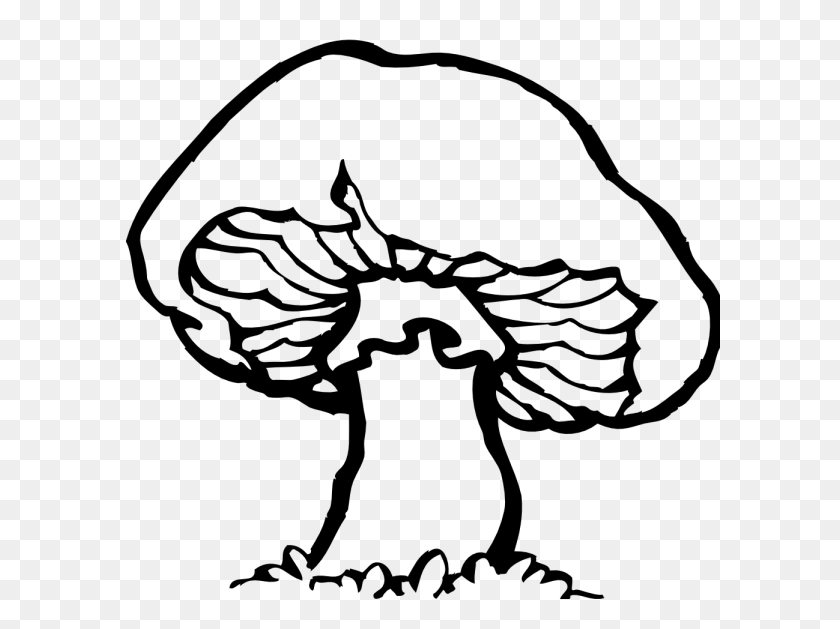 600x569 Mushroom Clipart Black And White Nice Clip Art - Mushroom Clipart