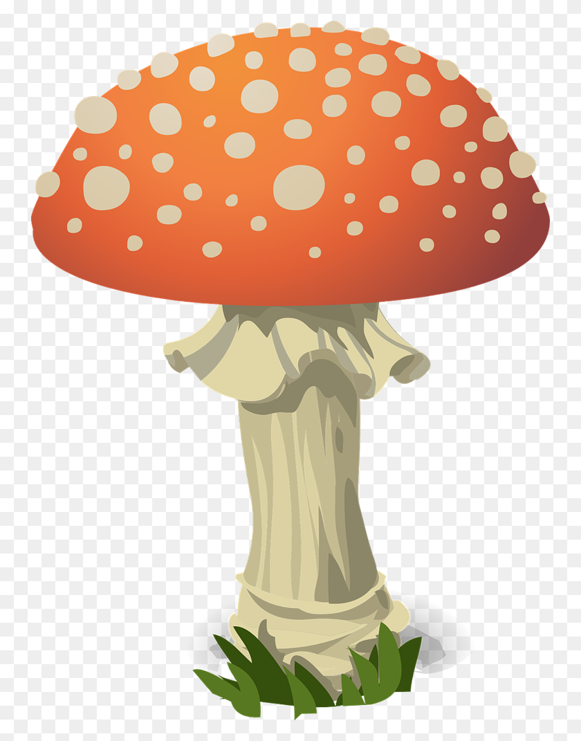 750x1011 Imágenes Prediseñadas De Hongos Gratis Para Usar - Cute Mushroom Clipart