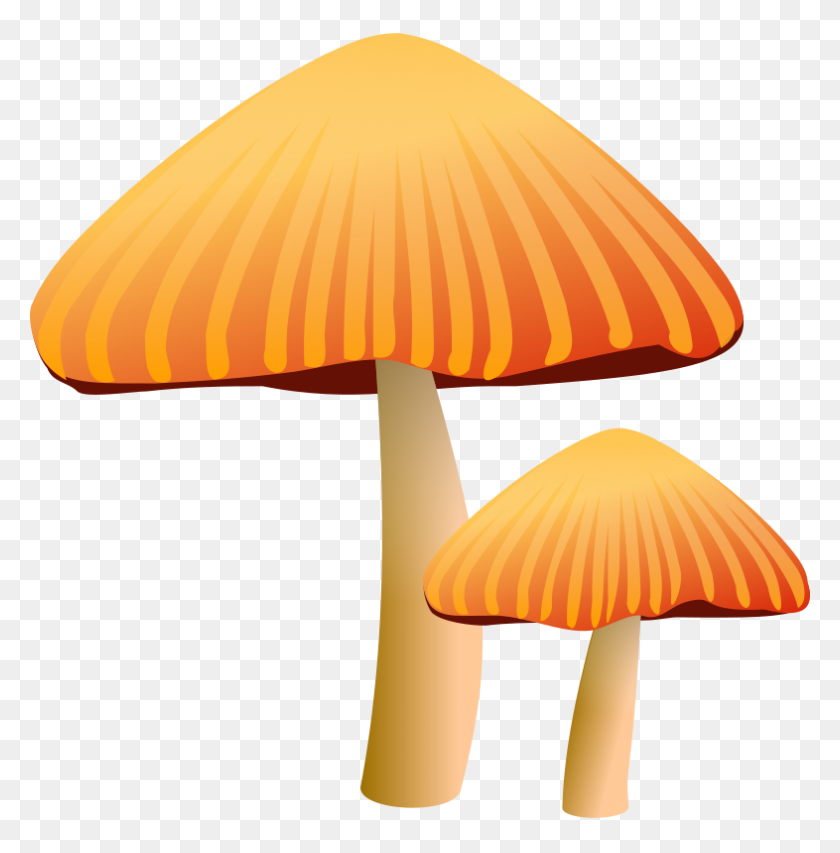 786x800 Mushroom Free To Use Clip Art - Fungi Clipart