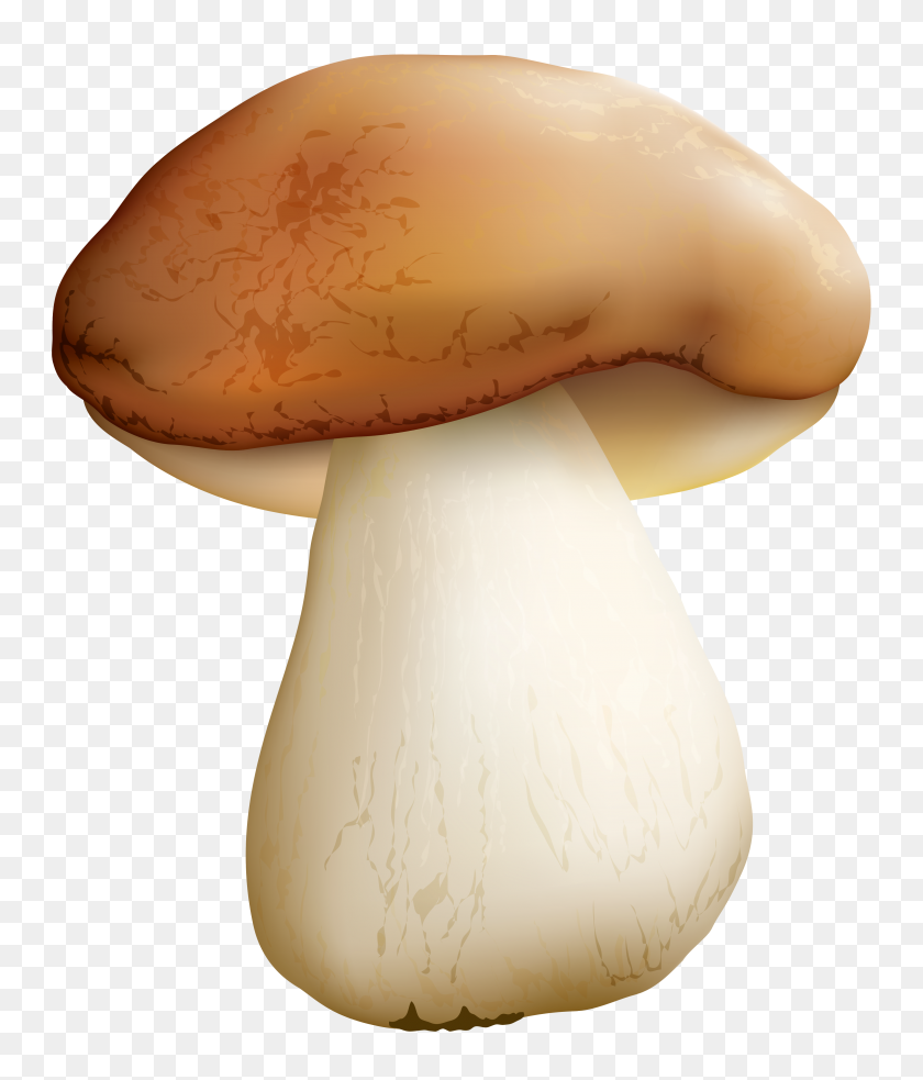 3505x4149 Mushroom Png Clipart - Mushroom Clipart