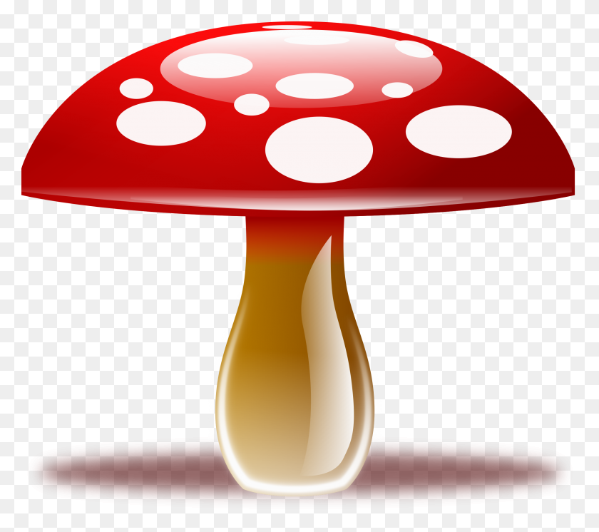 2400x2111 Mushroom Png Transparent Images - Mushrooms PNG