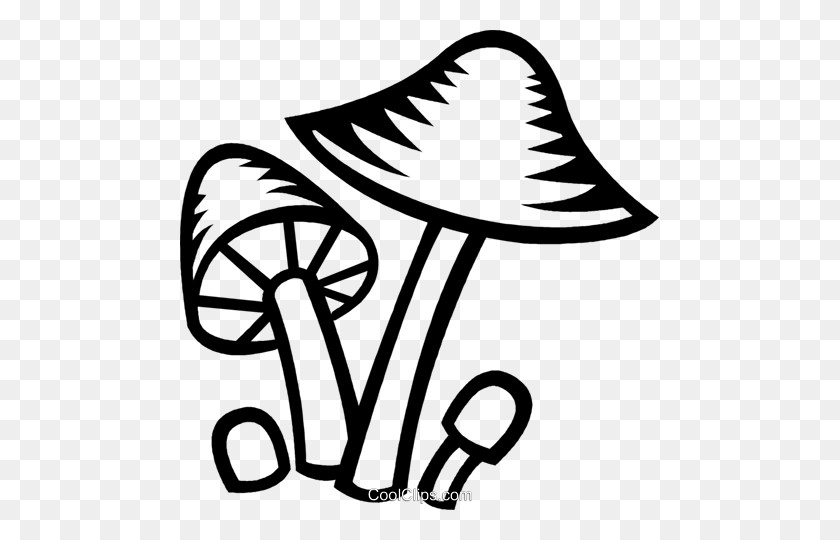 479x480 Mushroom Royalty Free Vector Clip Art Illustration - Mushroom Clipart Black And White