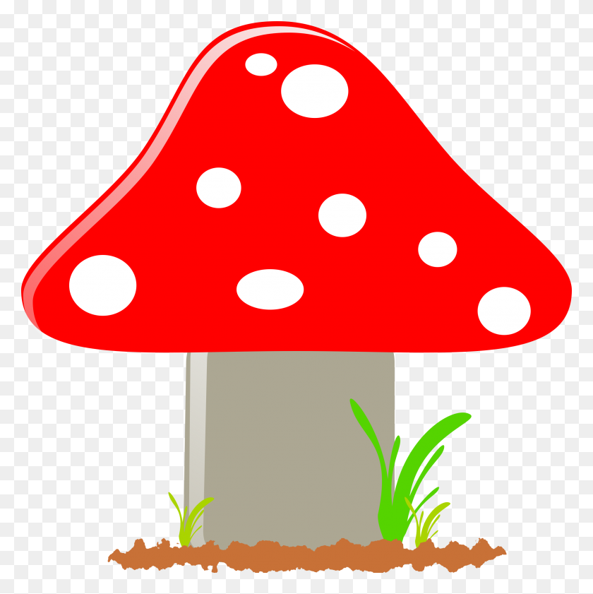 2396x2400 Mushroom Seta Icons Png - Seta PNG