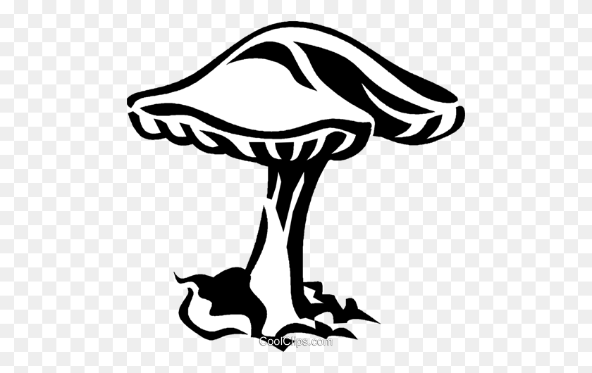 480x470 Mushroom, Toadstool Royalty Free Vector Clip Art Illustration - Mushroom Clipart Black And White