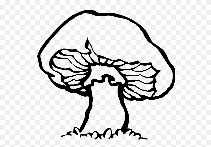 555x527 Mushroom Vector File, Vector Clip Art - Toad Clipart Black And White