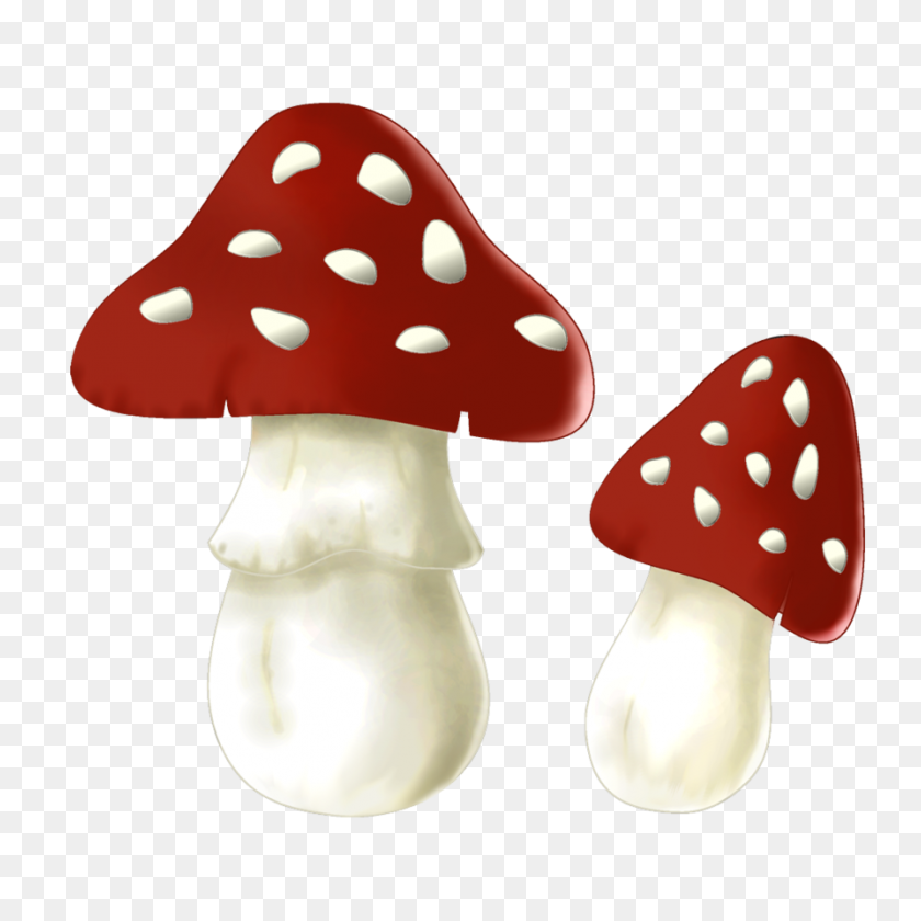 894x894 Mushrooms - Mushrooms PNG