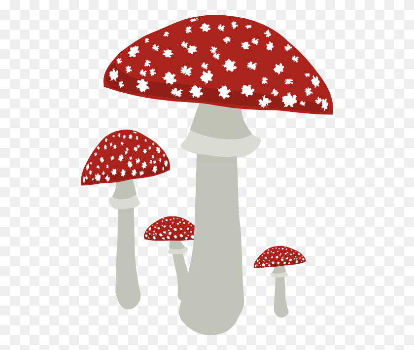 512x650 Mushrooms Clipart - Mushrooms PNG
