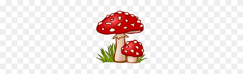 190x196 Mushrooms Mushrooms Fungi Veggie Vegetables - Mushrooms PNG