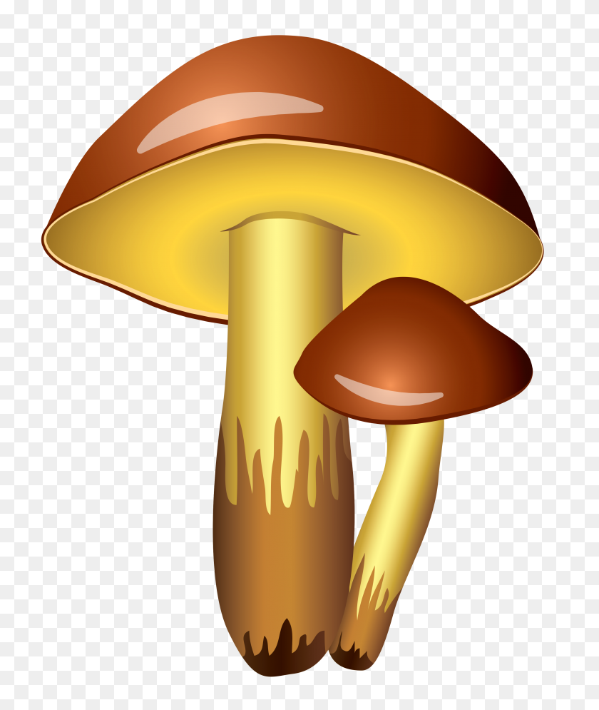 3635x4360 Mushrooms Transparent Png Clipart - Mushrooms PNG