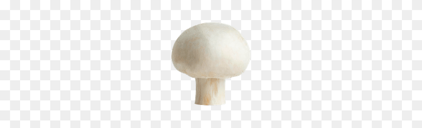 195x195 Mushrooms Truffles Loblaws - Mushrooms PNG