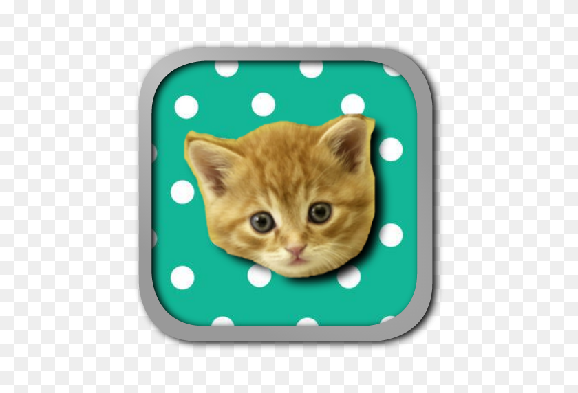 512x512 Musical Kittens Appstore Para Android - Gatitos Png