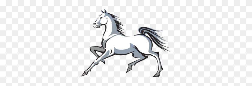 300x229 Mustang Horse Transparent Png - Horse Head PNG