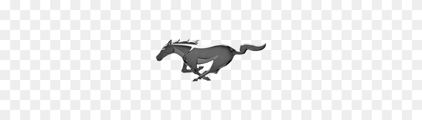240x180 Mustang Logo, Meaning, Information - Mustang Logo PNG