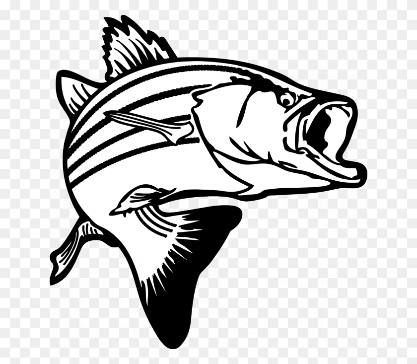 640x673 Мое Вдохновение Рыба, Рыба - Тигровая Акула Клипарт