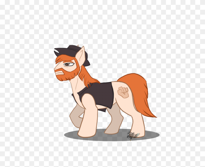 900x720 My Little Pony Fim Discussionimage Thread - Chuck Norris Clipart