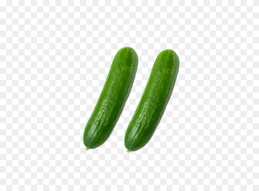 380x560 My Personal Story On How I Dived In Marketing - Zucchini PNG