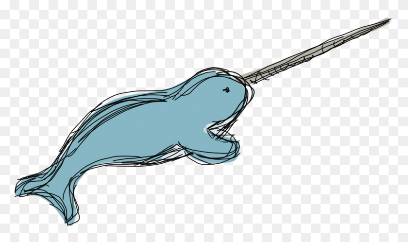 1207x678 Nadiator Gg Narwhals Unicornios - Narval Png