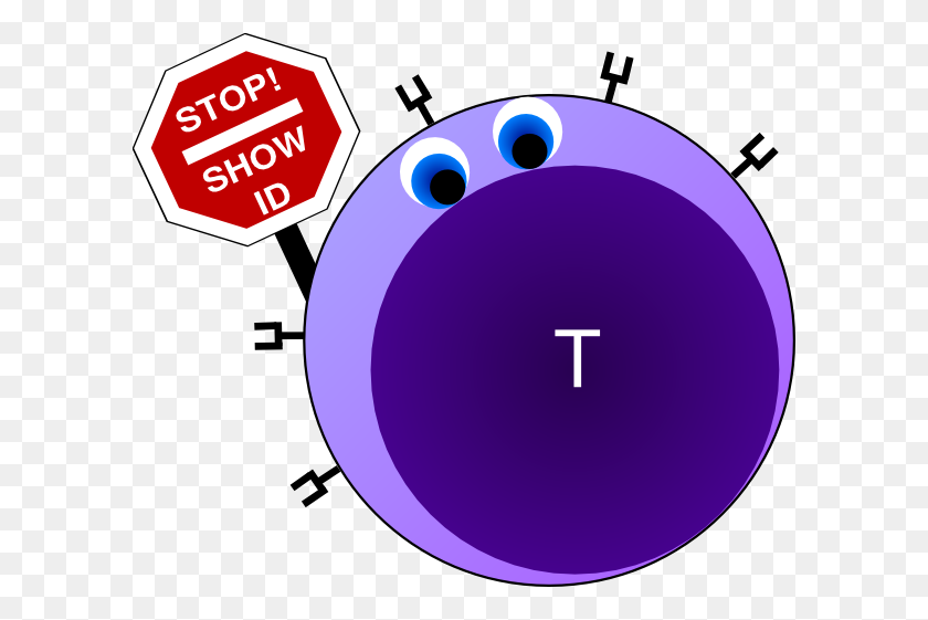 600x501 Naive T Cell Clip Art - Cell Clipart