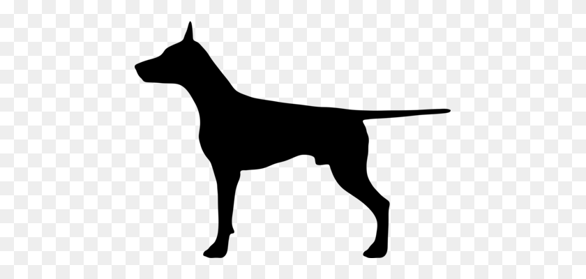 453x340 Nap Hibernation Dog Cat Mammal - Bloodhound Clipart