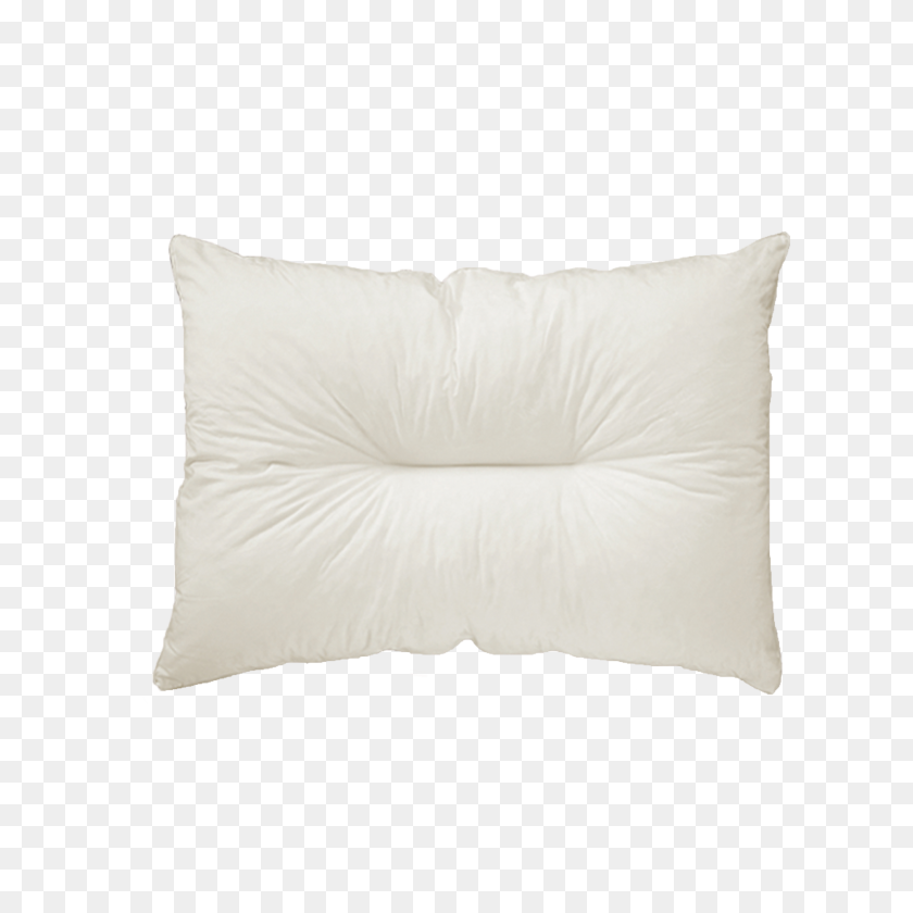 1920x1920 Narkissos I - Body Pillow PNG
