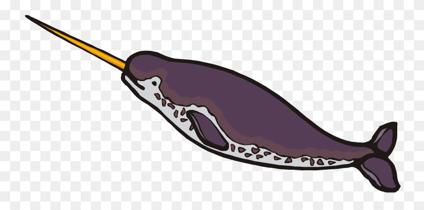750x357 Narwhal Clip Art - Narwhal Clipart