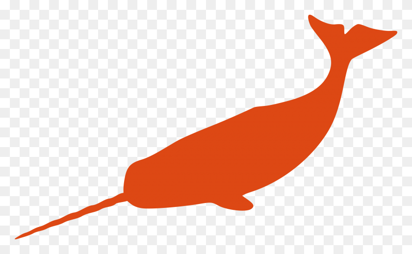 2400x1411 Narwhal Clipart Squiggle - Squiggle Clipart