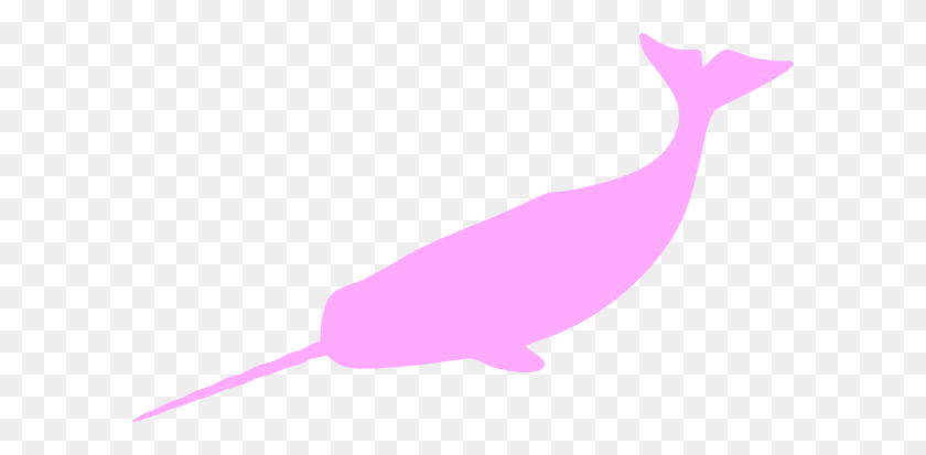 600x353 Narwhal Pink Clip Art - Narwhal Clipart