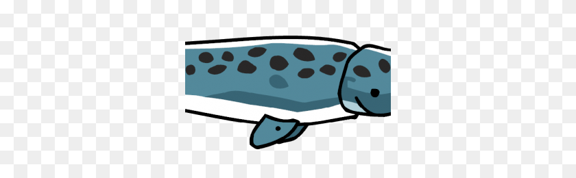 300x200 Narwhal Png Image - Narwhal Png