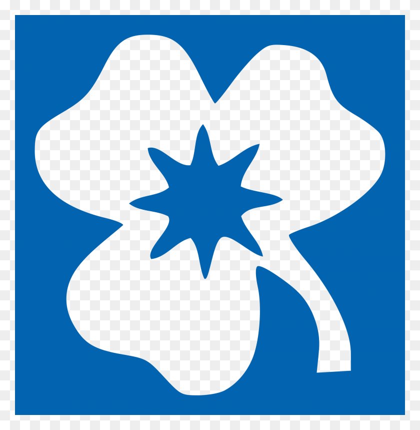 2000x2050 National Association Of Girl Guides And Girl Scouts - Girl Scout PNG