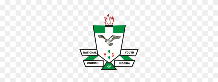 250x256 Consejo Nacional De La Juventud De Nigeria - Juventud Png