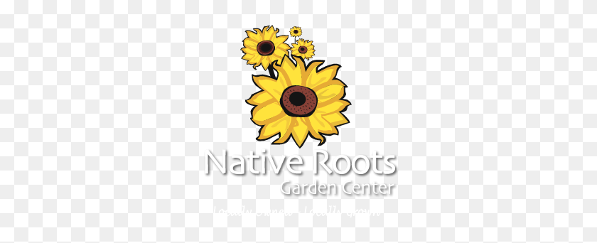 293x282 Native Roots Garden Center - Hanging Vines PNG
