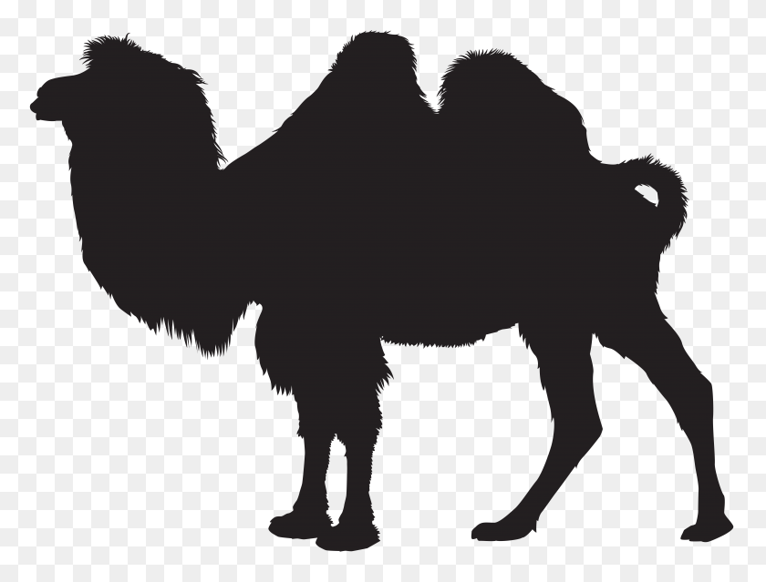 8000x5948 Nativity Clipart Camel, Nativity Camel Transparent Free - Manger Clipart Black And White