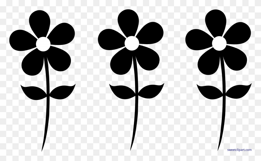7747x4545 Природа Цветы Ромашки Набор Черный Картинки - Клипарт Для Skype