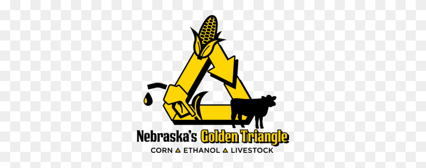 300x272 Nebraska's Golden Triangle - Gold Triangle PNG