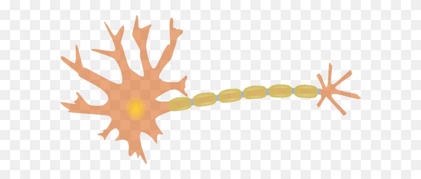 600x298 Clipart De Nervios - Imágenes Prediseñadas De Mitocondrias